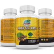 Load image into Gallery viewer, SEA MOSS | BLADDERWRACK | BURDOCK ROOT