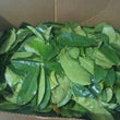 Load image into Gallery viewer, Sour Sop Tea