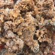 Load image into Gallery viewer, Sea Moss Premium 2 Ounces