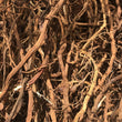 Load image into Gallery viewer, WHOLESALE SARSAPARILLA ROOT
