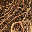Load image into Gallery viewer, WHOLESALE SARSAPARILLA ROOT