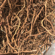 Load image into Gallery viewer, WHOLESALE SARSAPARILLA ROOT