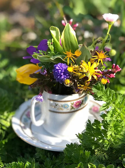 FLOWER POWER 🌺🌻🪻🌷