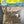 Load image into Gallery viewer, BLUE VERVAIN
