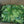 Load image into Gallery viewer, Sour Sop Tea
