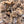 Load image into Gallery viewer, Sea Moss Premium 2 Ounces
