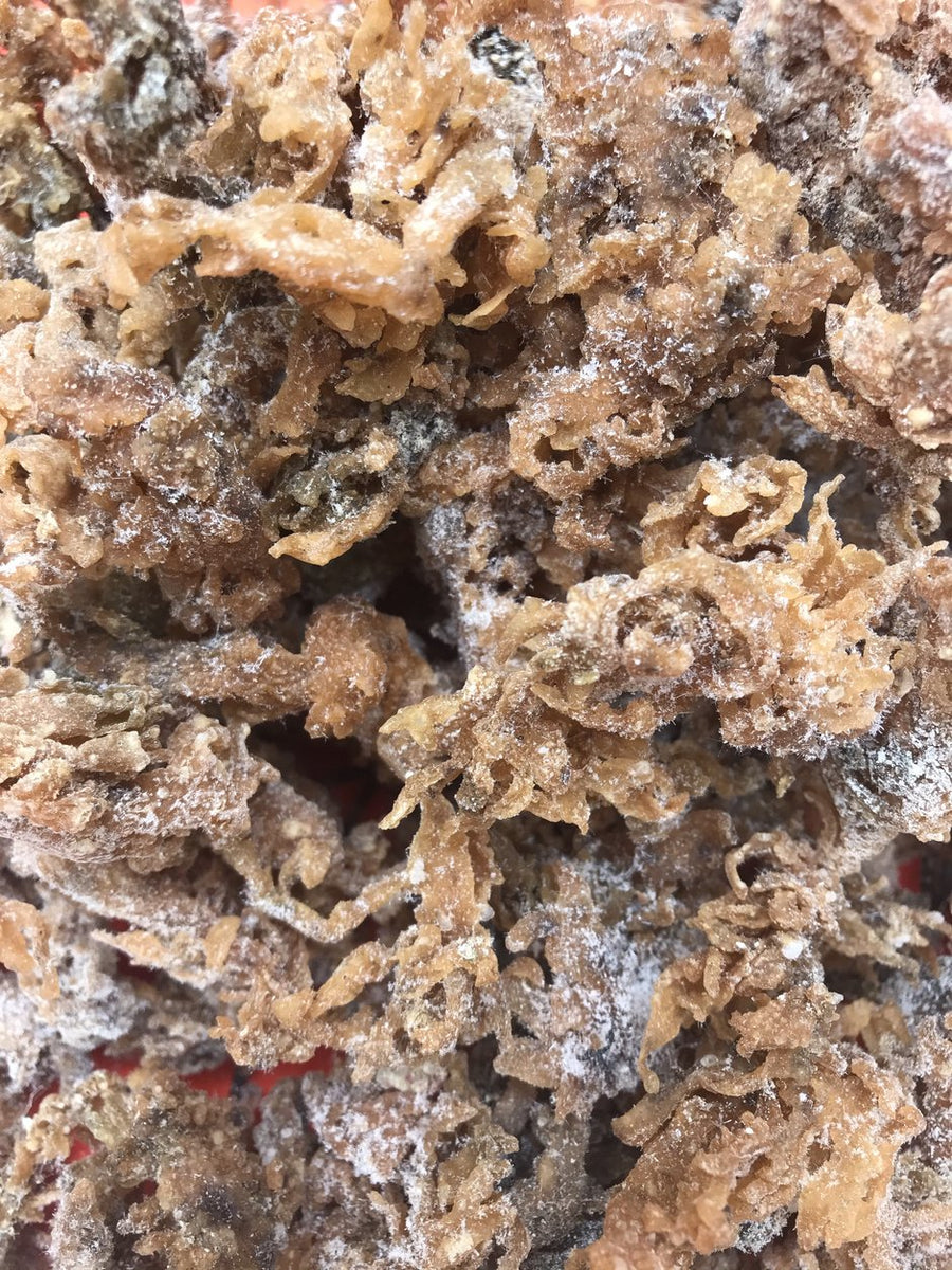 Sea Moss Premium 2 Ounces