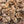 Load image into Gallery viewer, Sea Moss Premium 2 Ounces
