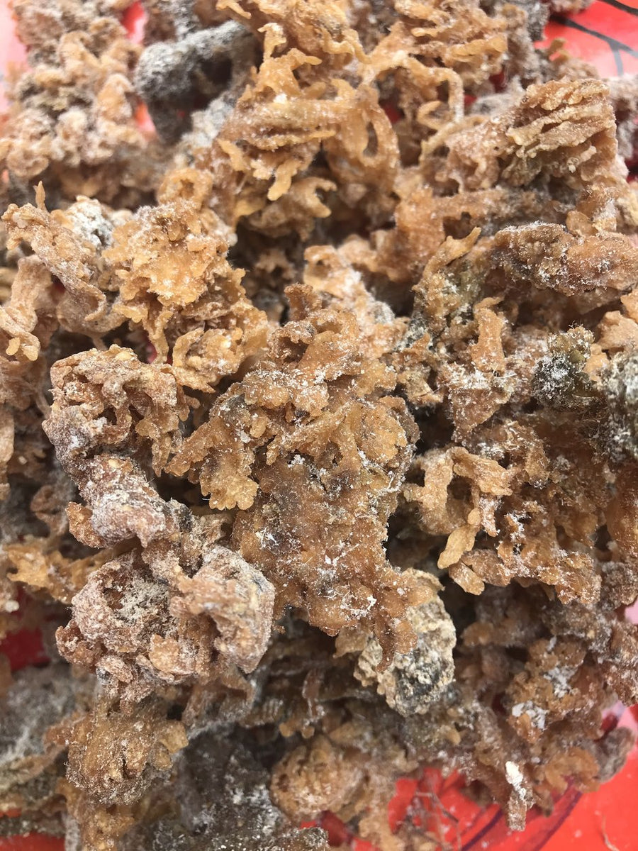 Sea Moss Premium 2 Ounces