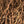 Load image into Gallery viewer, WHOLESALE SARSAPARILLA ROOT
