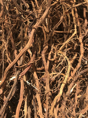 WHOLESALE SARSAPARILLA ROOT