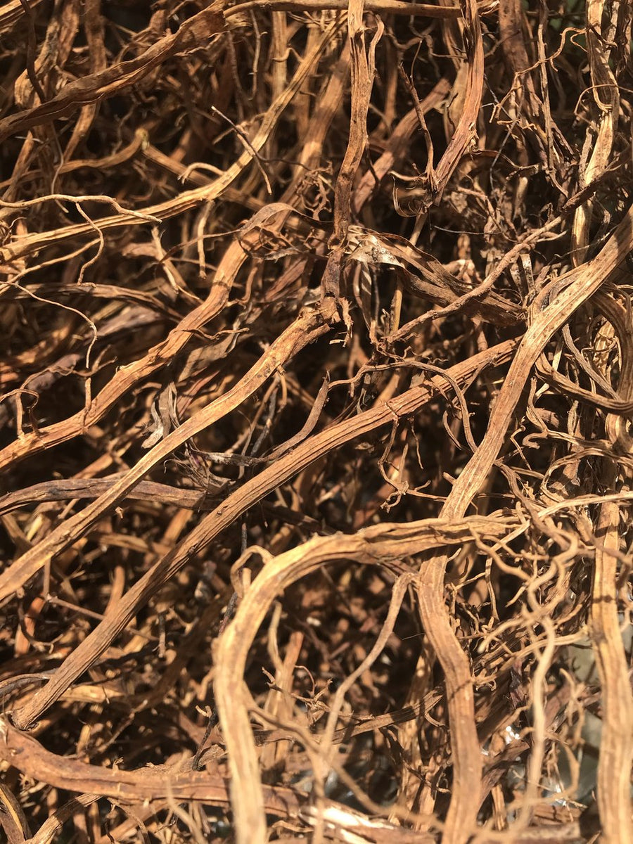 WHOLESALE SARSAPARILLA ROOT