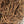Load image into Gallery viewer, WHOLESALE SARSAPARILLA ROOT
