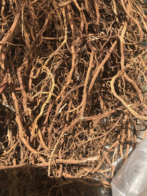 WHOLESALE SARSAPARILLA ROOT