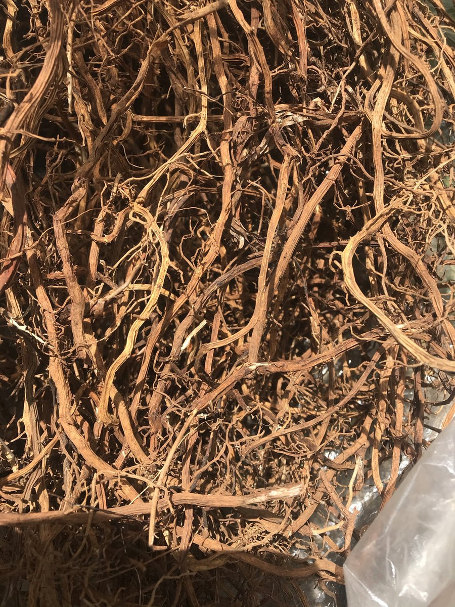 WHOLESALE SARSAPARILLA ROOT