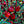 Load image into Gallery viewer, WHOLESALE SORREL DRIED
