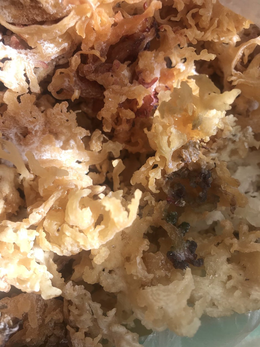 SEA MOSS GEL
